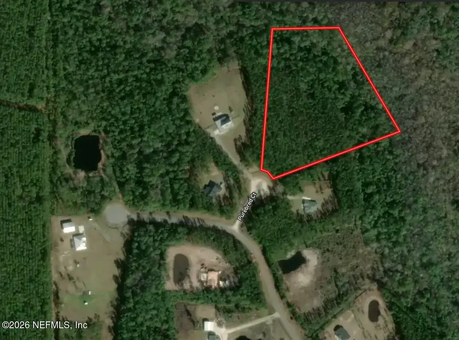 36014 Purebread Court, Callahan, FL 32011 - #2