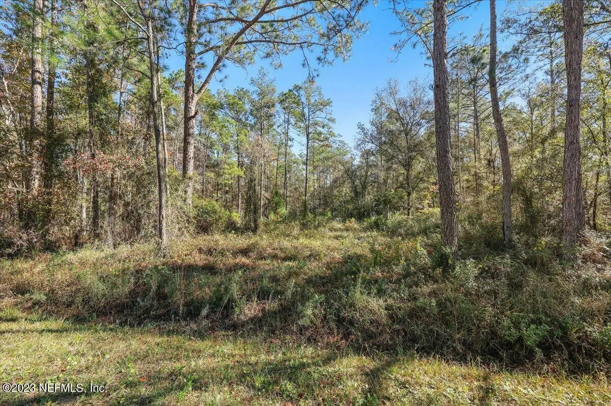10690 Gregory Avenue, Hastings, FL 32145 - #1