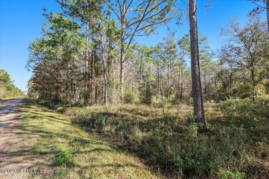 10690 Gregory Avenue, Hastings, FL 32145 - #2