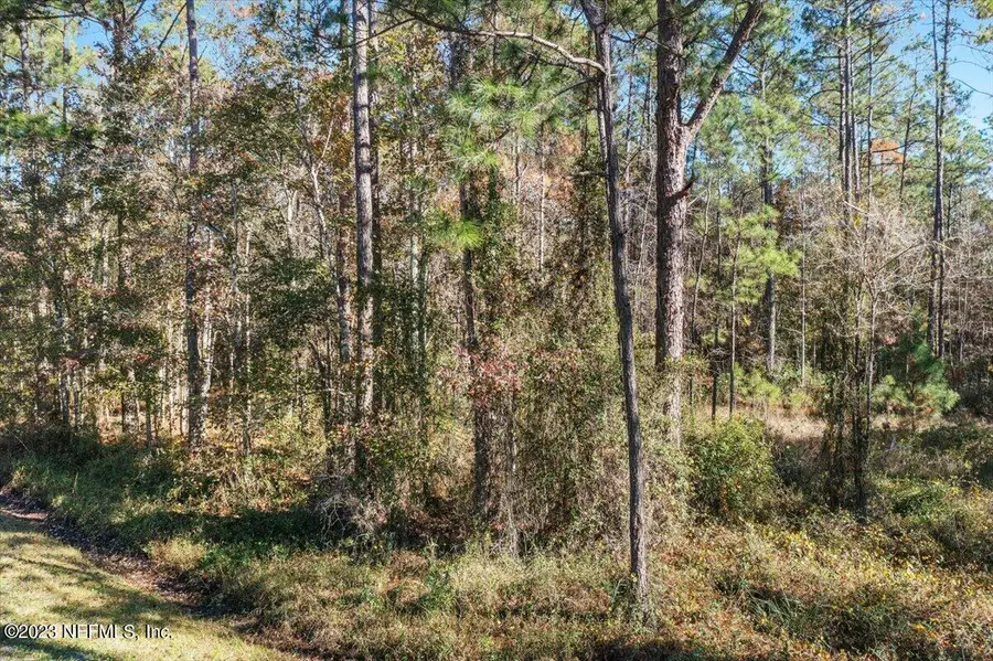 10690 Gregory Avenue, Hastings, FL 32145 - #3