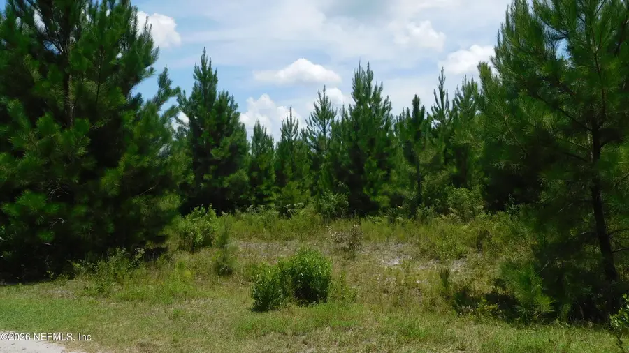 56585 Davis Road, Callahan, FL 32011 - #3