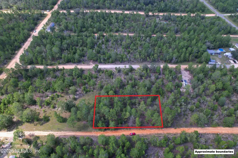 0 Pine Place, Interlachen, FL 32148 - #2