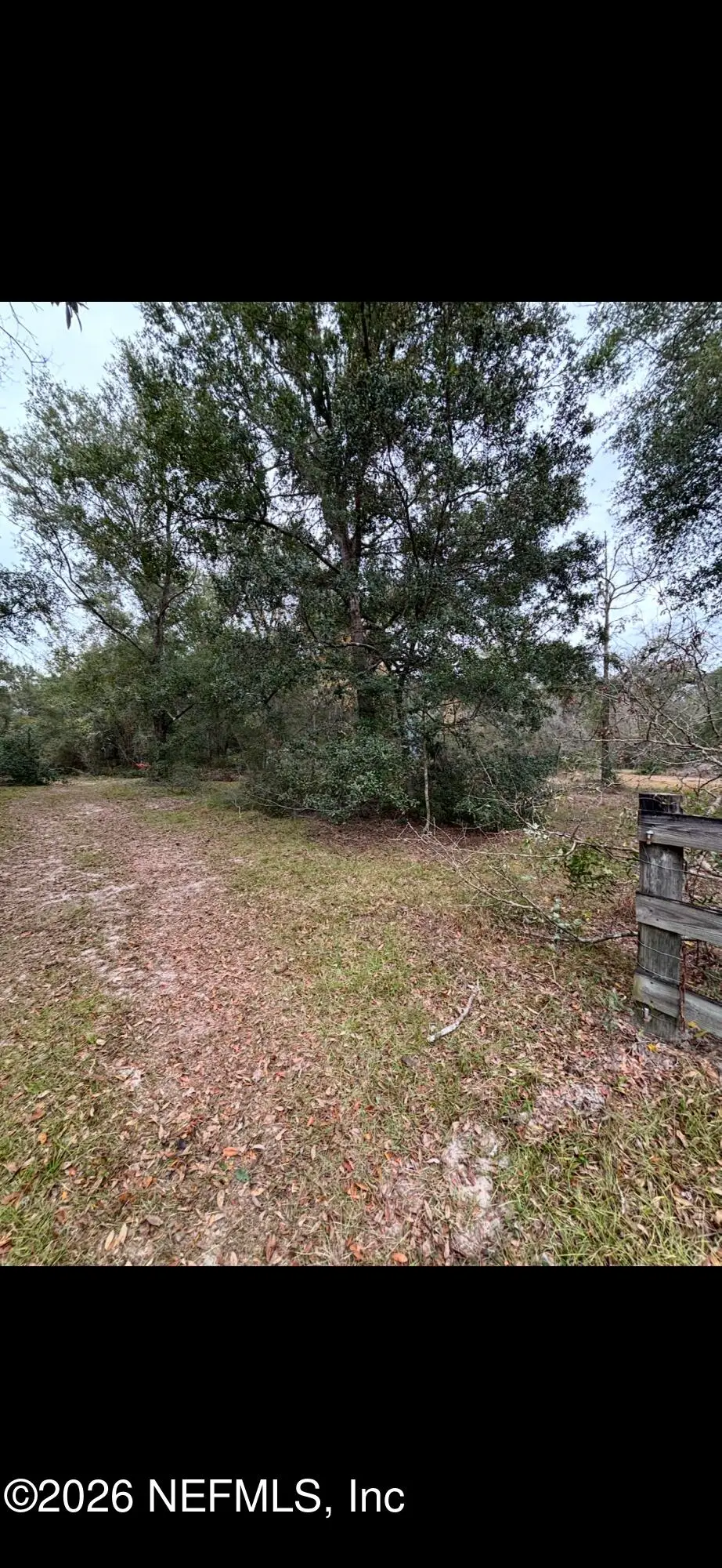 687 SW Grape Street, Lake City, FL 32024 - #1