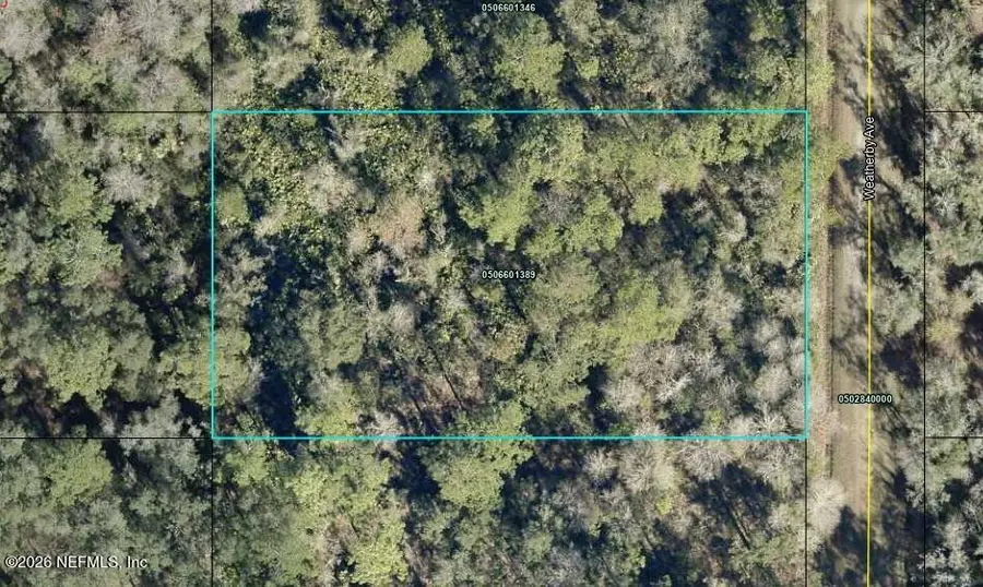 10545 Weatherby Avenue, Hastings, FL 32145 - #3