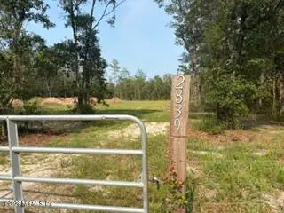 2839 Windemere Court, Middleburg, FL 32068 - #2