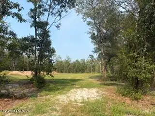 2839 Windemere Court, Middleburg, FL 32068 - #3