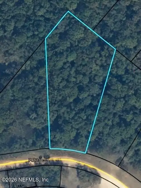 4688 Petunia Avenue, Middleburg, FL 32068