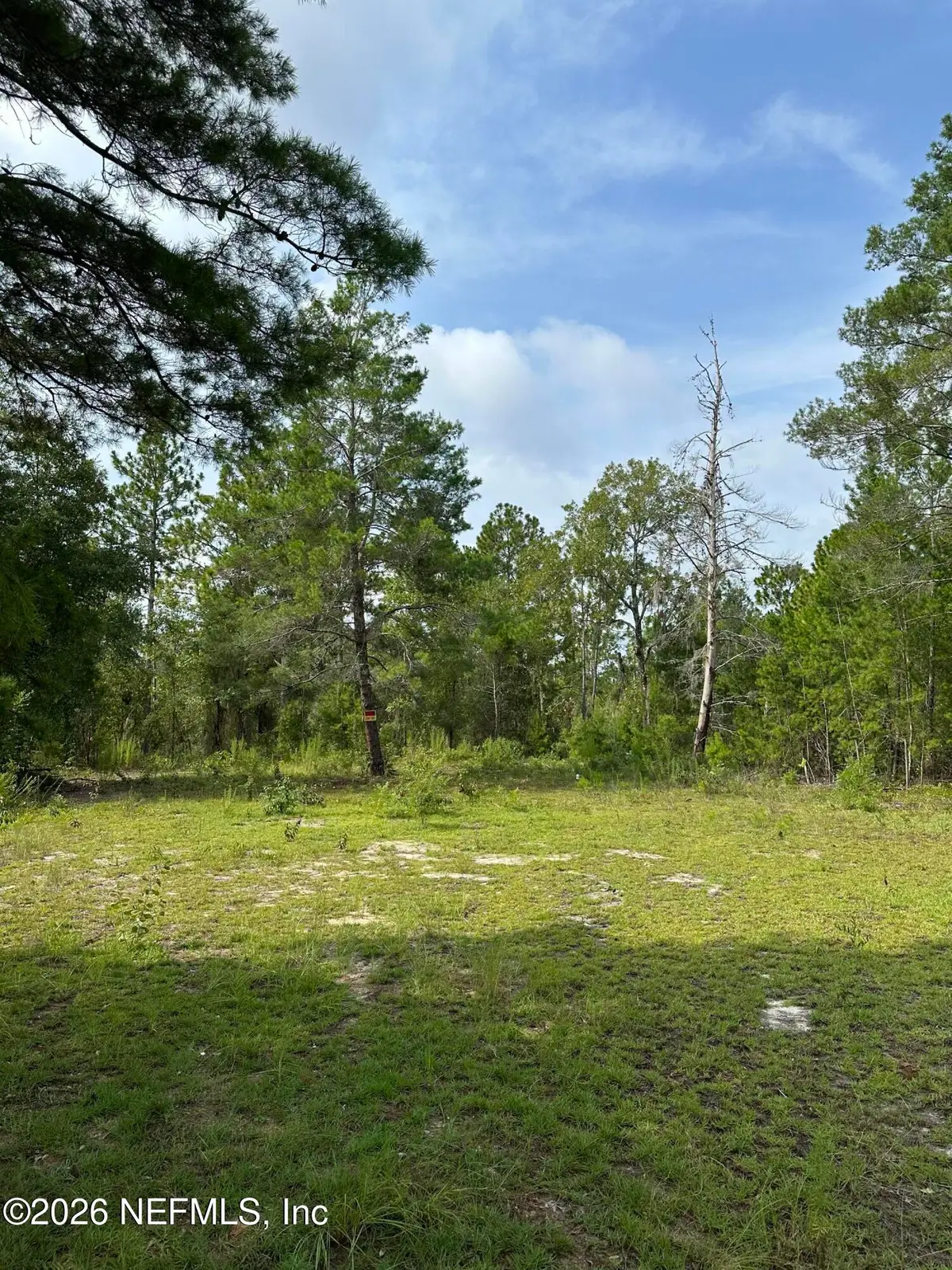 121 Panama Street, Interlachen, FL 32148 - #1