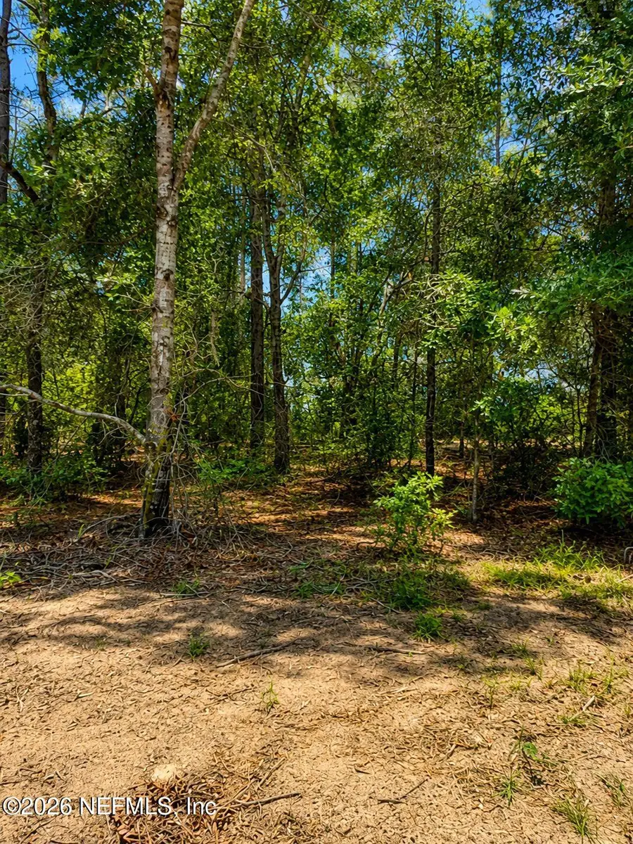 523 & 525 Baden Powell Road, Hawthorne, FL 32640 - #2
