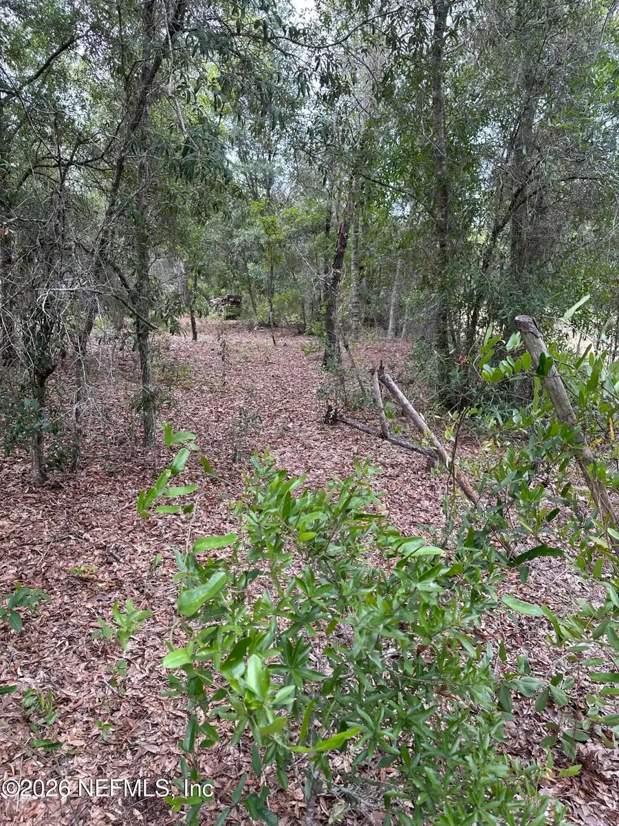 0 Interlachen Lakes Estates, Interlachen, FL 32148 - #3
