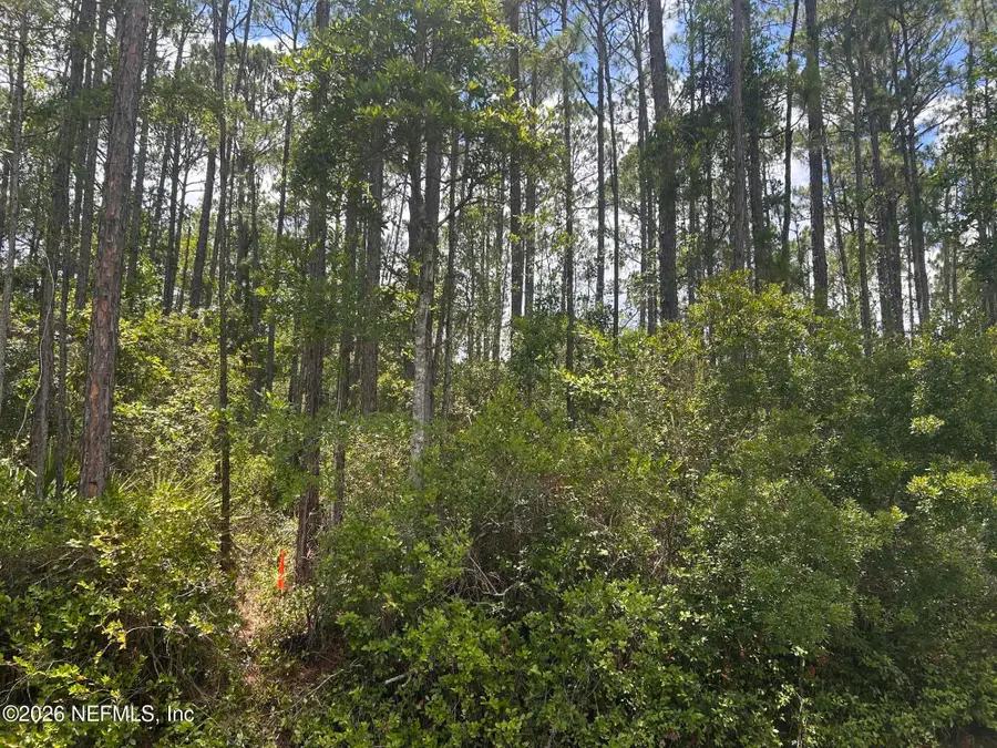 242 Lakeway Drive, Georgetown, FL 32139 - #2