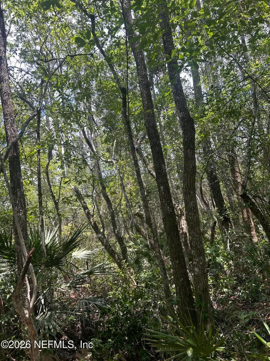 242 Lakeway Drive, Georgetown, FL 32139 - #3