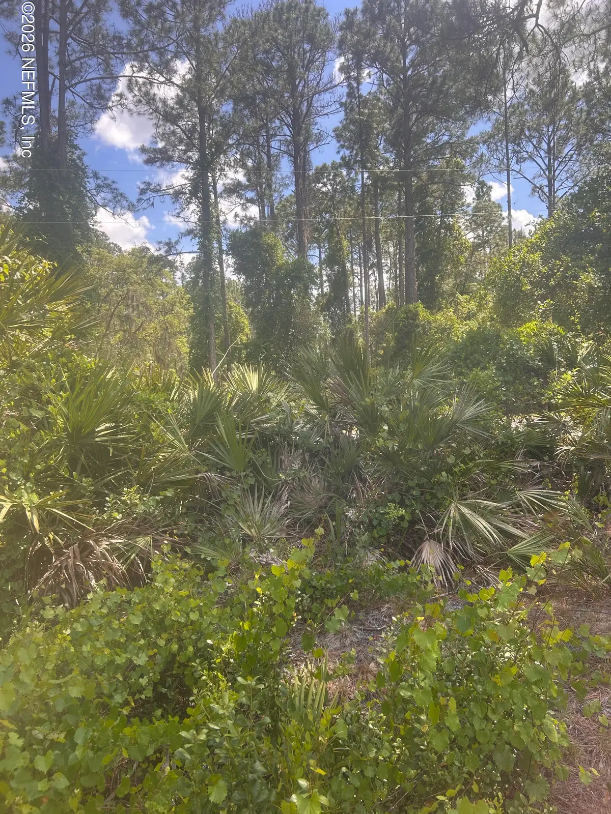 128 Forest Street, Georgetown, FL 32139 - #1