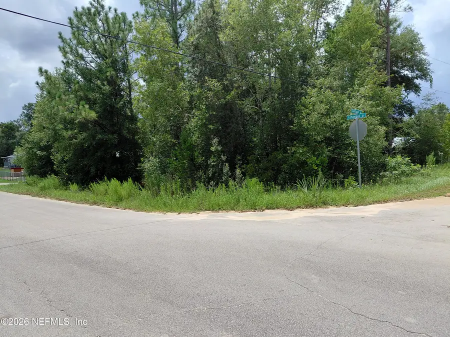 TBD Istanbul Street, Interlachen, FL 32148 - #2