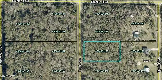 10620 Turpin Avenue, Hastings, FL 32145 - #1