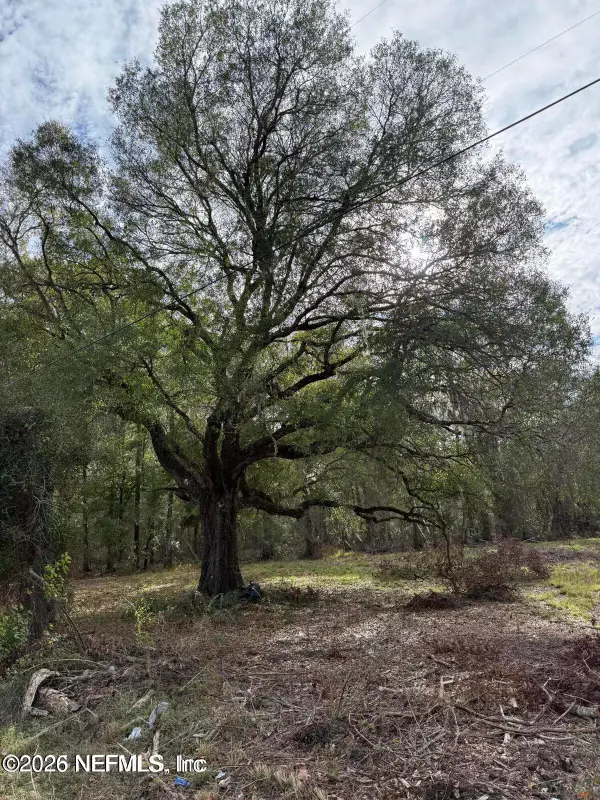 TBD NW Sr 16, Starke, FL 32091