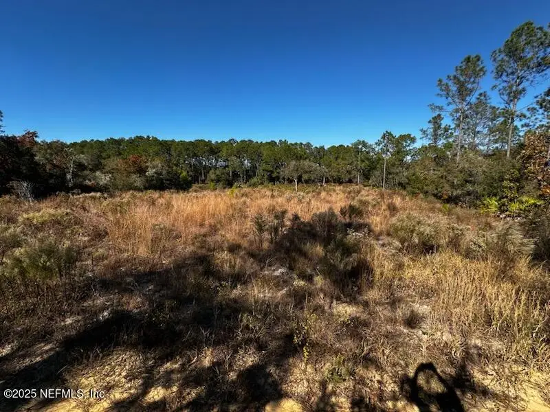 220 Como Circle, Interlachen, FL 32148 - #1
