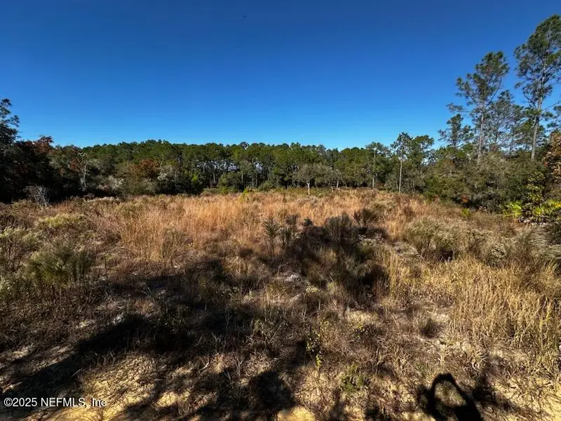 220 Como Circle, Interlachen, FL 32148 - #2