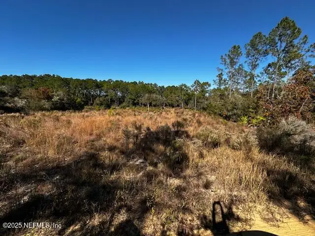 220 Como Circle, Interlachen, FL 32148 - #3