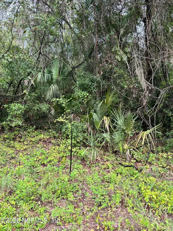 0 Annette Avenue, Interlachen, FL 32148
