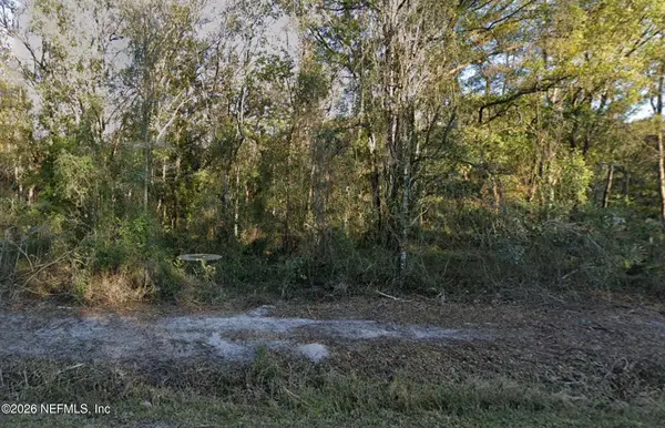 10130 Allison Avenue, Hastings, FL 32145