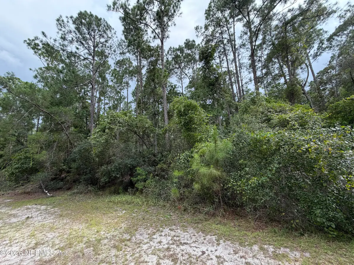 207 Tequesta Trail, Georgetown, FL 32139 - #1