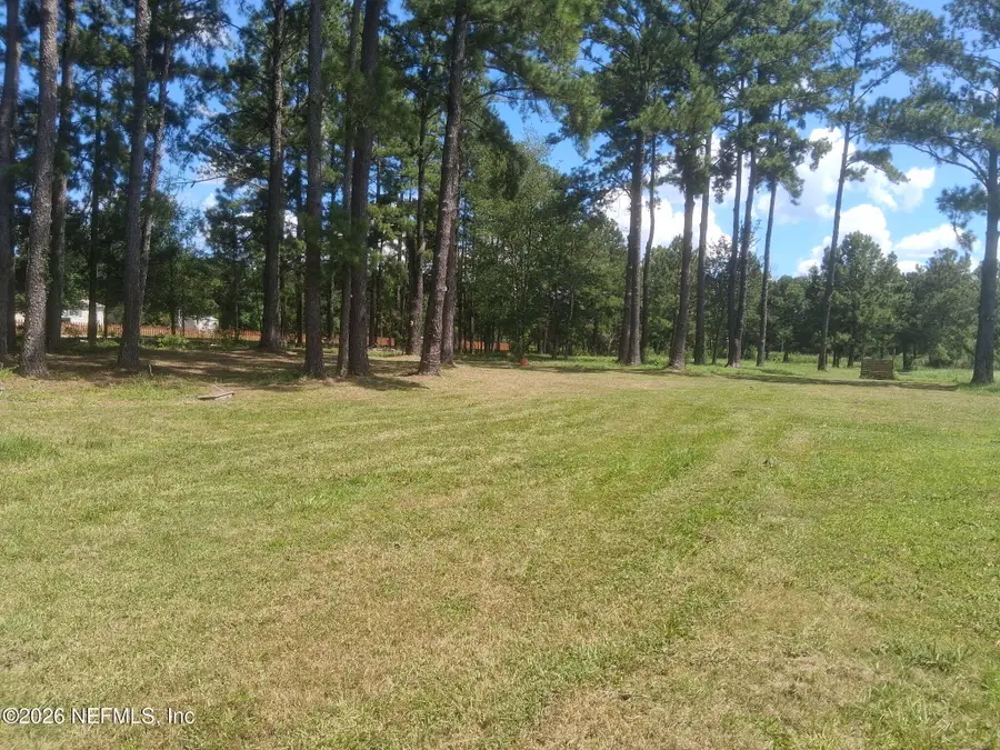 4321 Falcon Run Lane, Middleburg, FL 32068 - #2