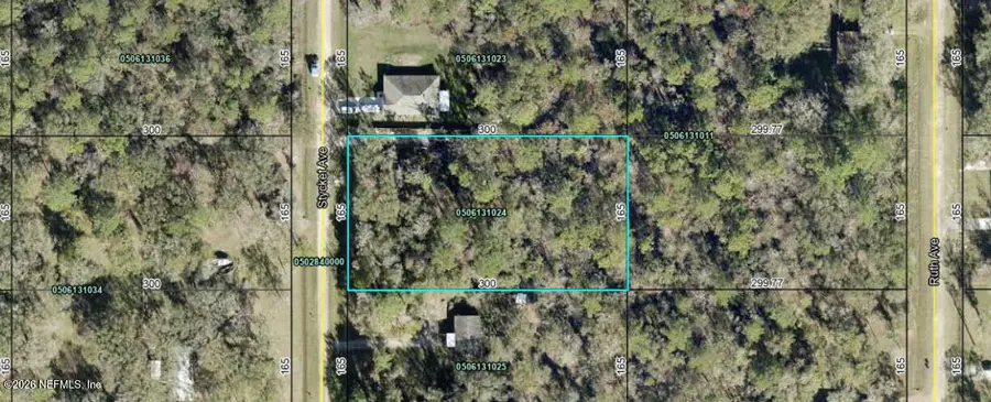 10300 Stycket Avenue, Hastings, FL 32145 - #3
