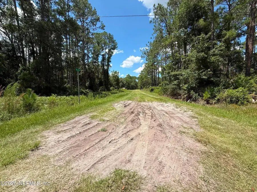 102 Willow Lane, Georgetown, FL 32139 - #3