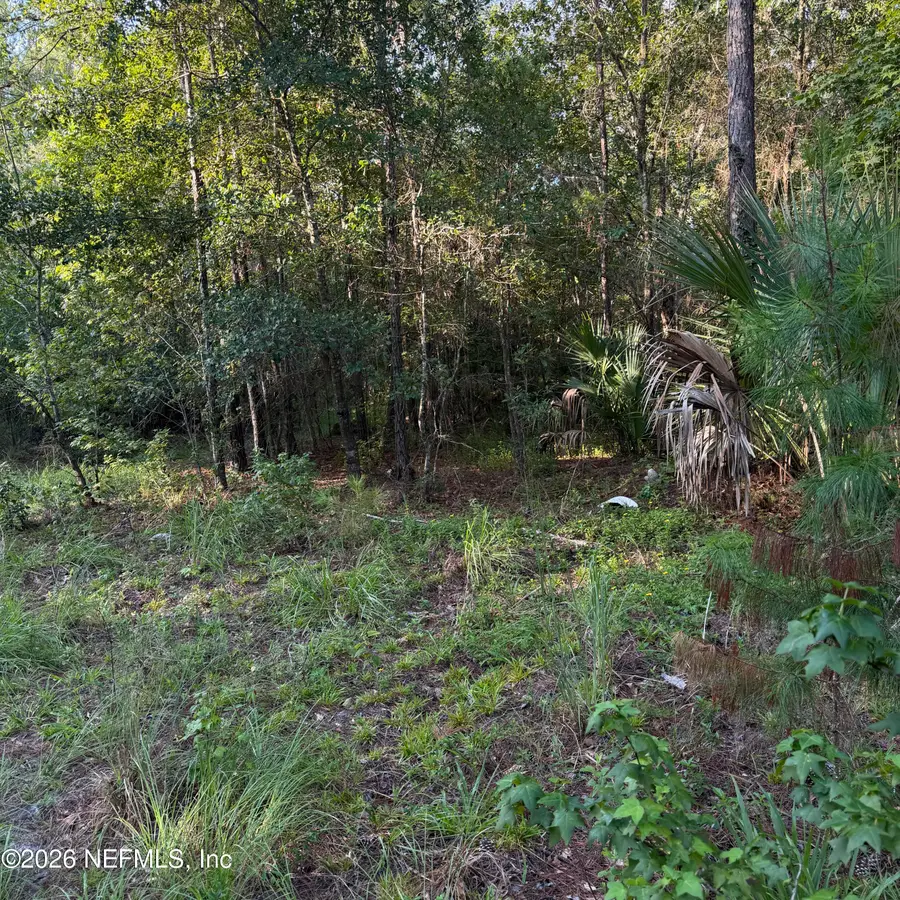 20517 SE 12th Avenue, Hawthorne, FL 32640 - #2