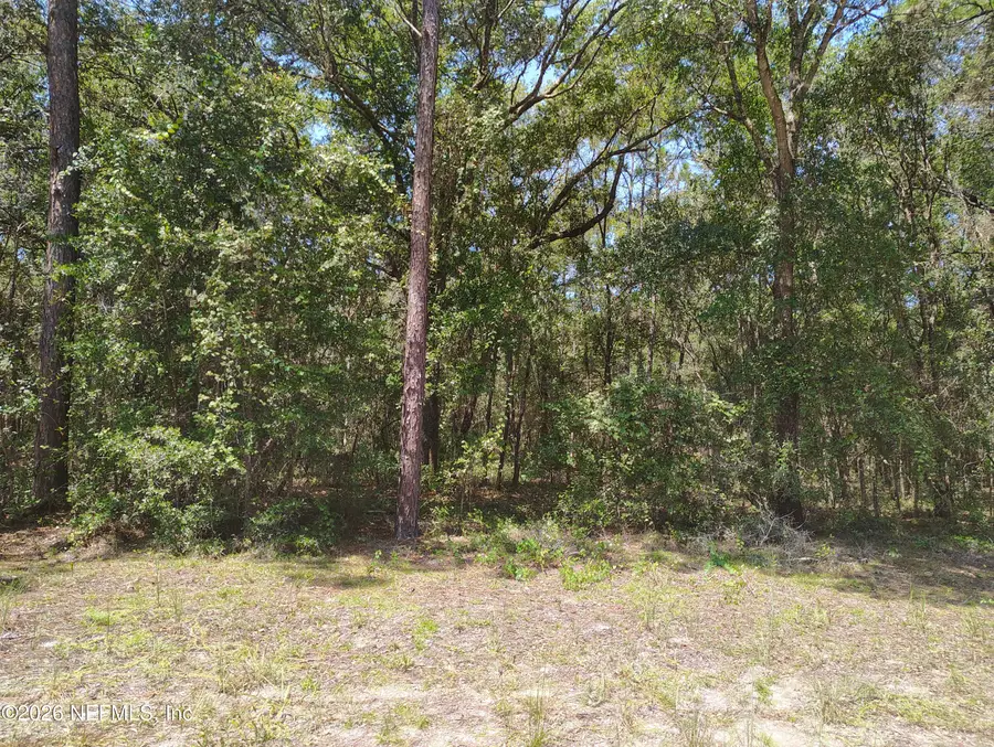 00 Sumac Street, Interlachen, FL 32148 - #3