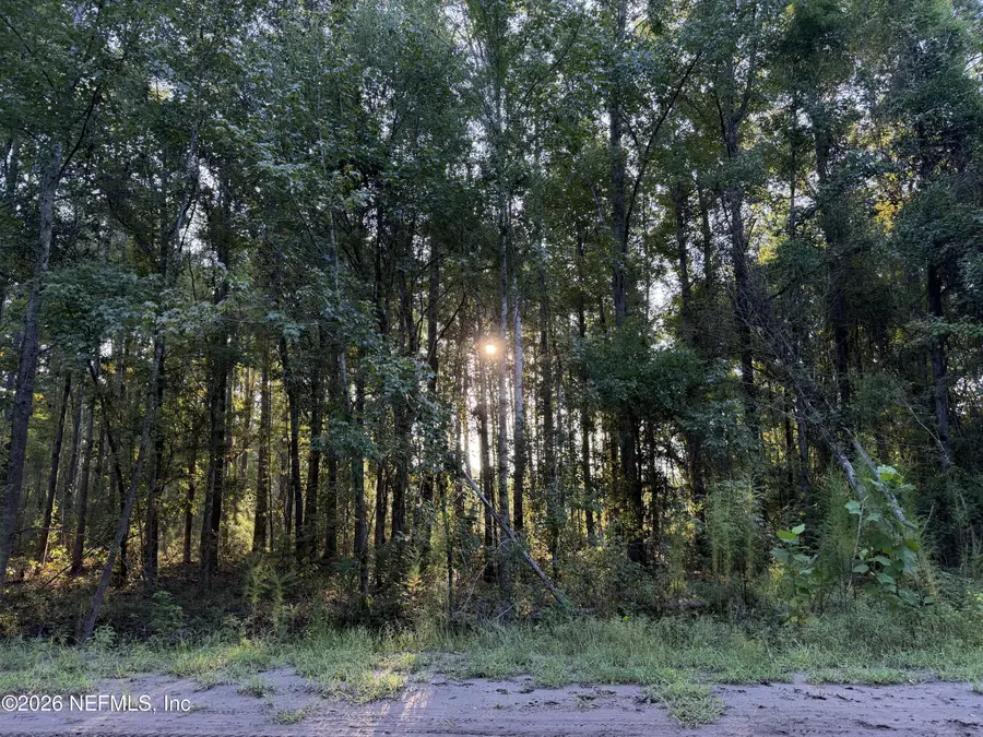 0 Little Magnolia Lane, Callahan, FL 32011 - #2