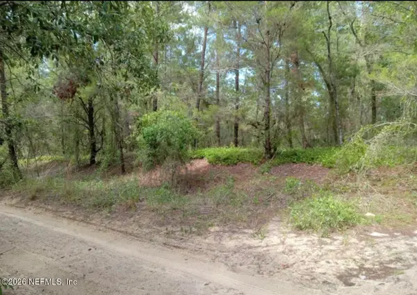 0 Orange Blossom Street, Pomona Park, FL 32112