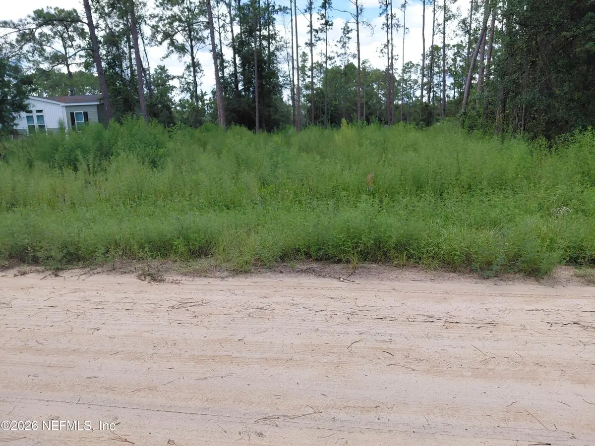 104 Howard Drive, Interlachen, FL 32148 - #1