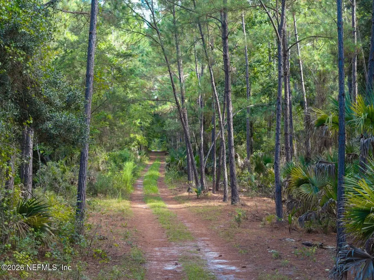 402 Siesta Drive, Georgetown, FL 32139 - #1