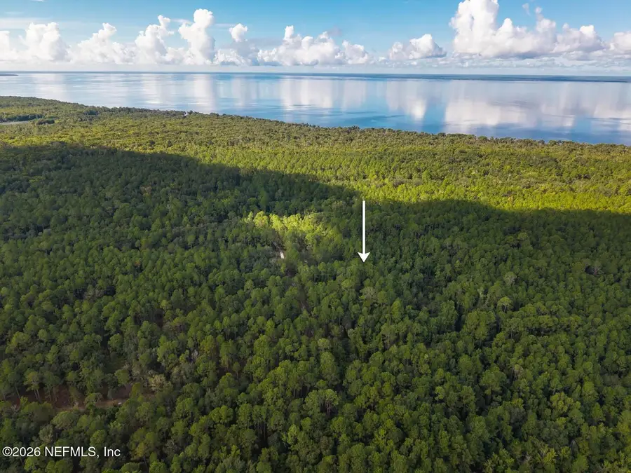 402 Siesta Drive, Georgetown, FL 32139 - #3
