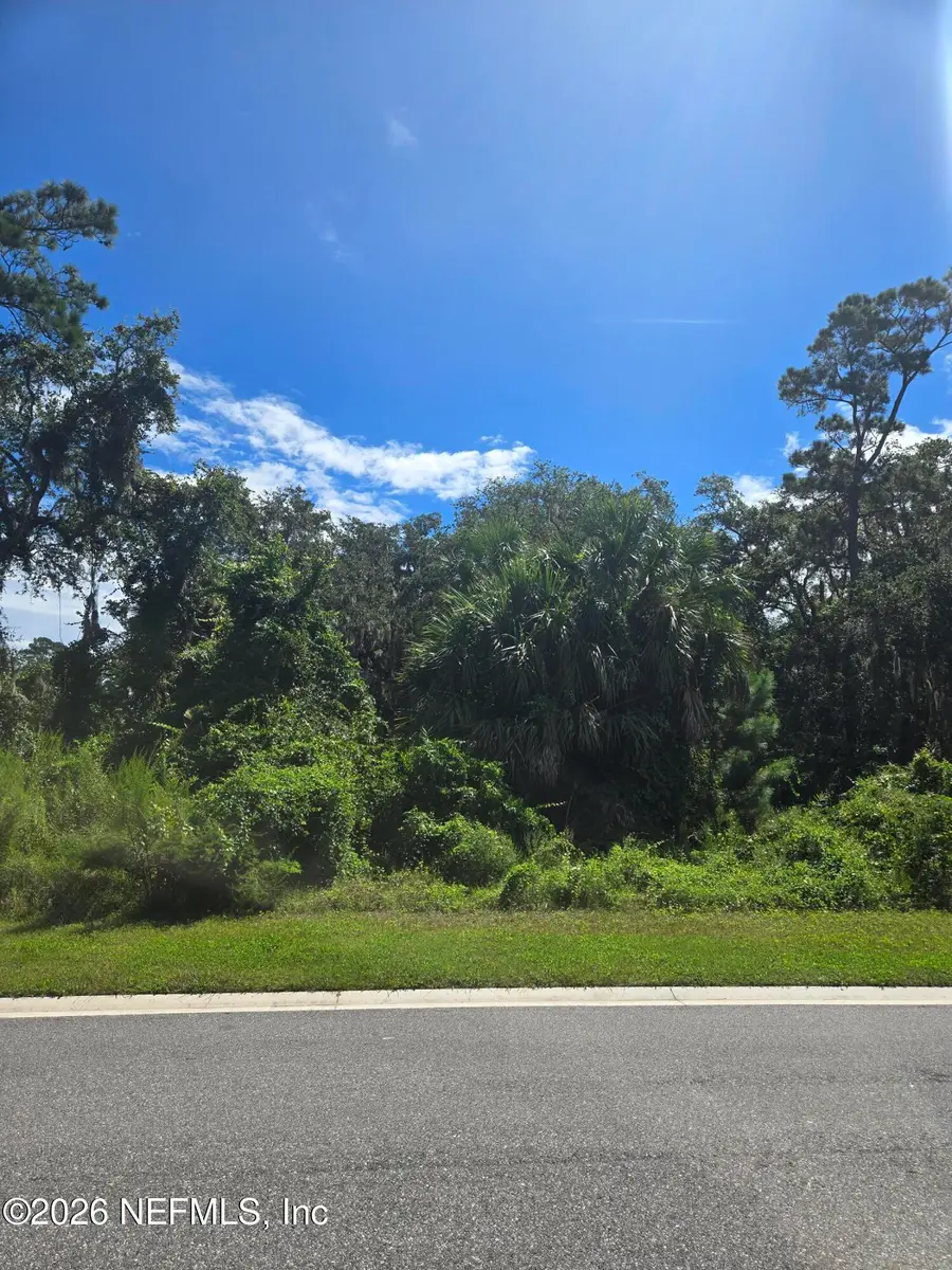 208 Canopy Hall Drive, Saint Augustine, FL 32095 - #2