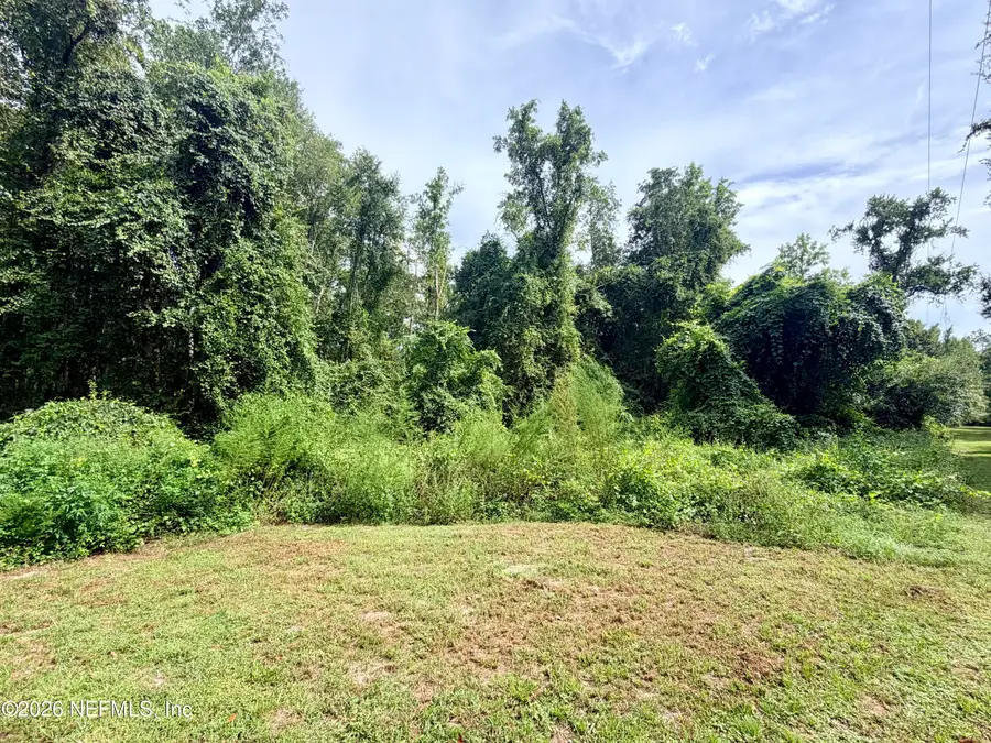 0 S Carl Brown Road, Sanderson, FL 32087 - #2