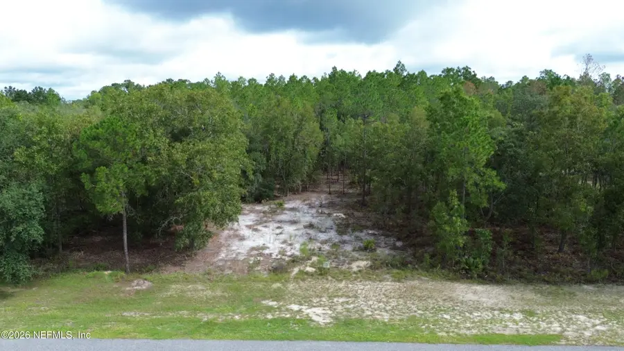 13559 Settindown Drive, Bryceville, FL 32009 - #2