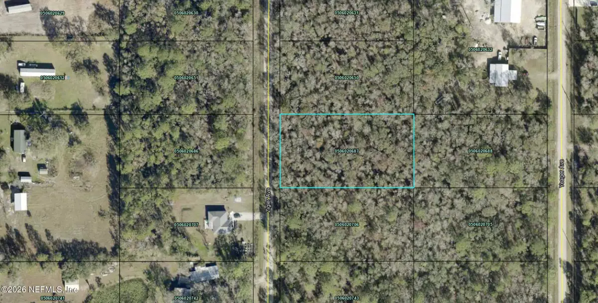 10220 Zigler Avenue, Hastings, FL 32145 - #1