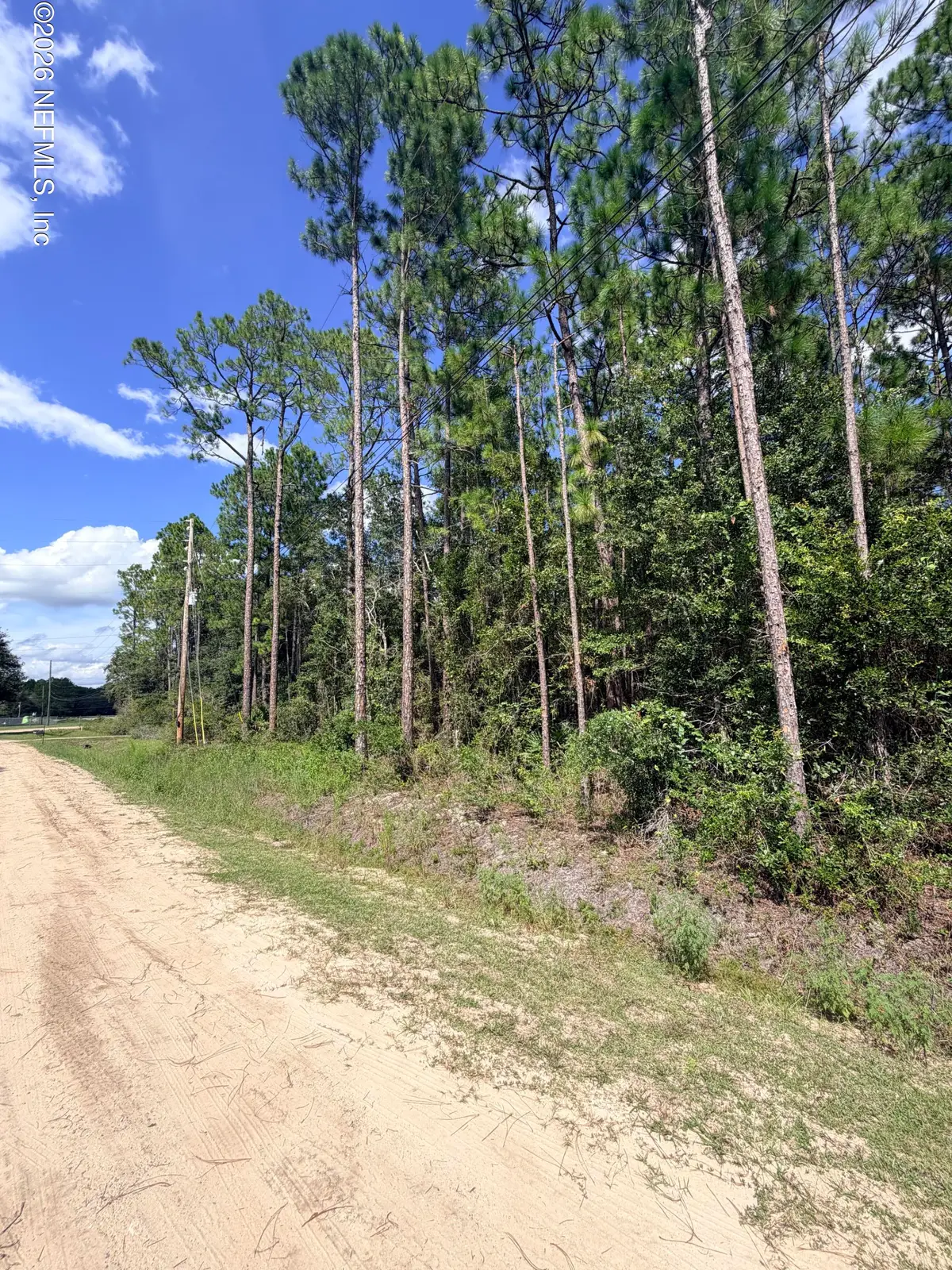 2283 Chervil Court, Middleburg, FL 32068 - #1