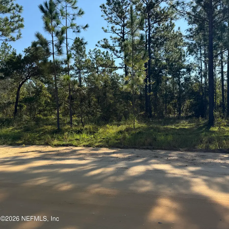 000 Royal Way, Hawthorne, FL 32640 - #2