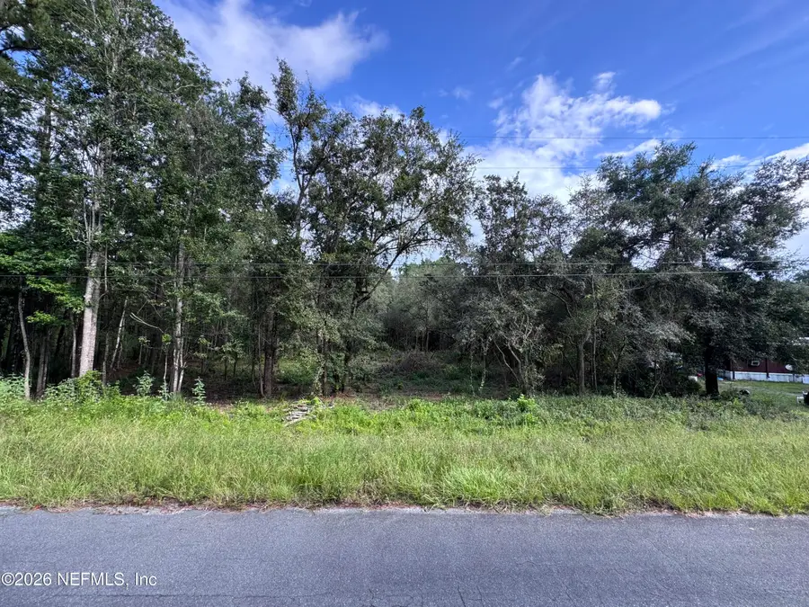 5235 Chicory Circle, Middleburg, FL 32068 - #2