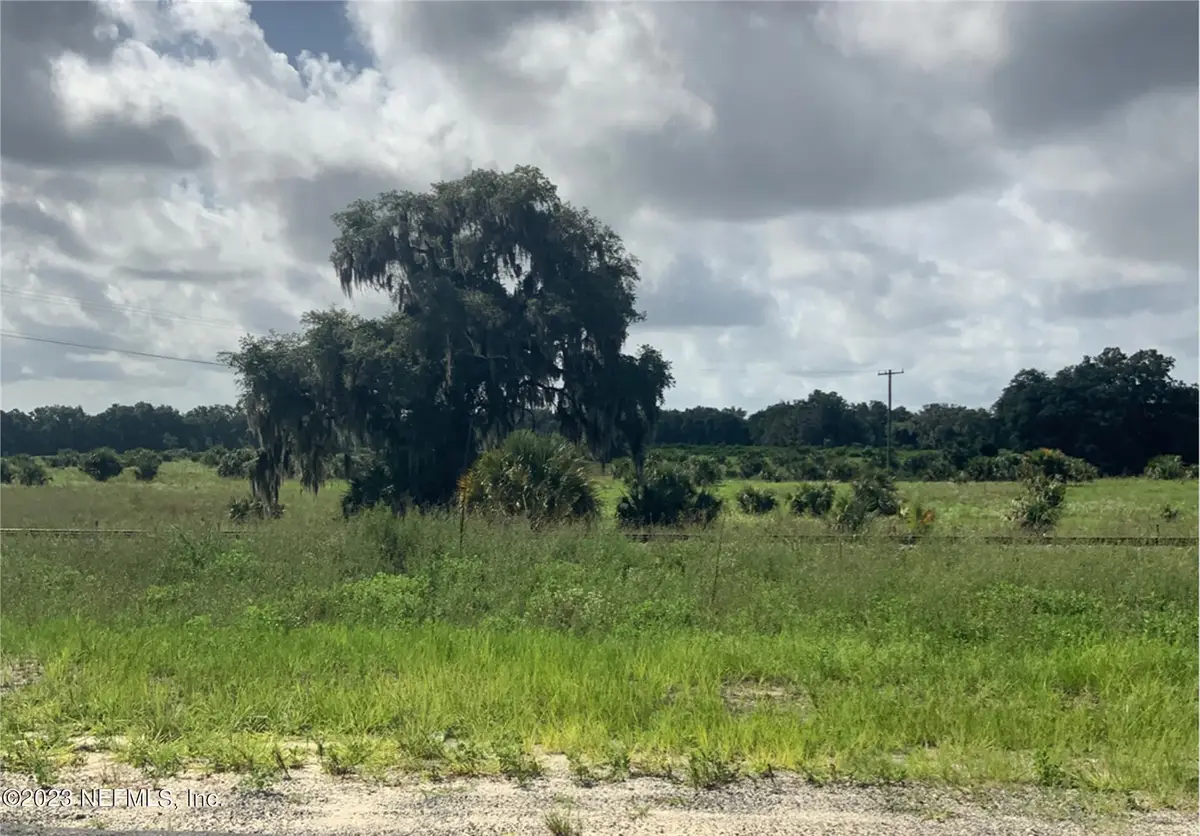 7245 SE 246th Terrace, Hawthorne, FL 32640 - #1