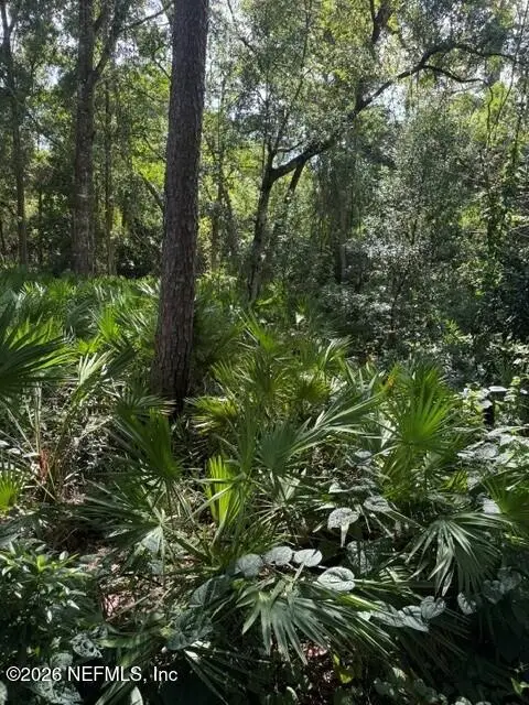 0 Chamfort Road, Jacksonville, FL 32246 - #3