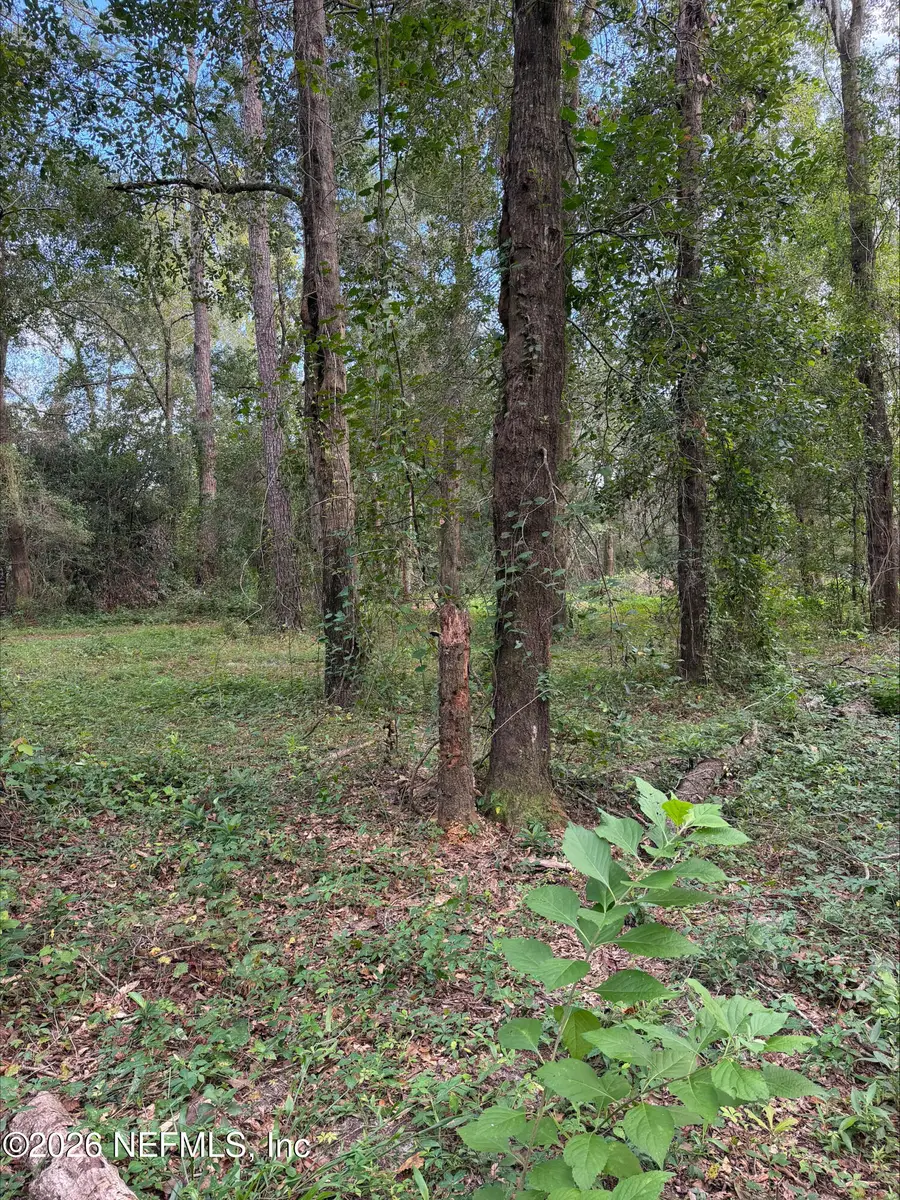 0 White Oak Lane, Middleburg, FL 32068 - #2