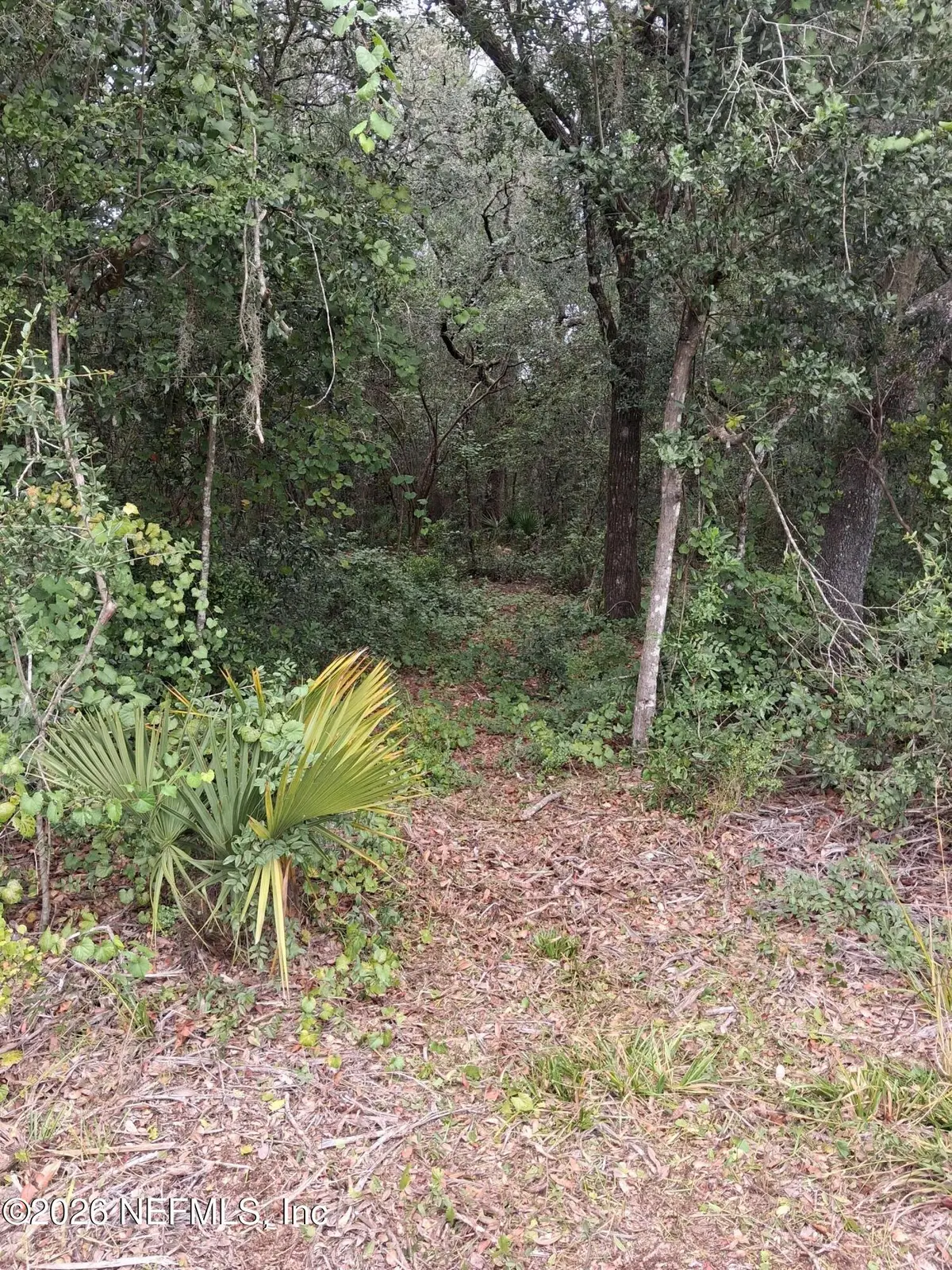 5210 Co Rd 214, Keystone Heights, FL 32656 - #1