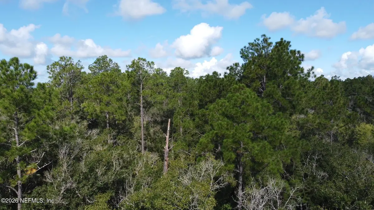 0 Dillon Ave, Hastings, FL 32145 - #1