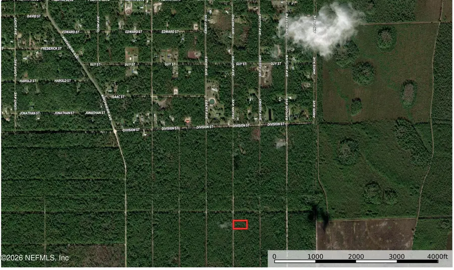 0 Dillon Ave, Hastings, FL 32145 - #2