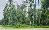 0 Suwannee Oaks Drive, Suwannee, FL 32071 - #2